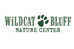 Amarillo summer camps